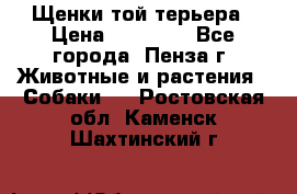 Щенки той терьера › Цена ­ 10 000 - Все города, Пенза г. Животные и растения » Собаки   . Ростовская обл.,Каменск-Шахтинский г.